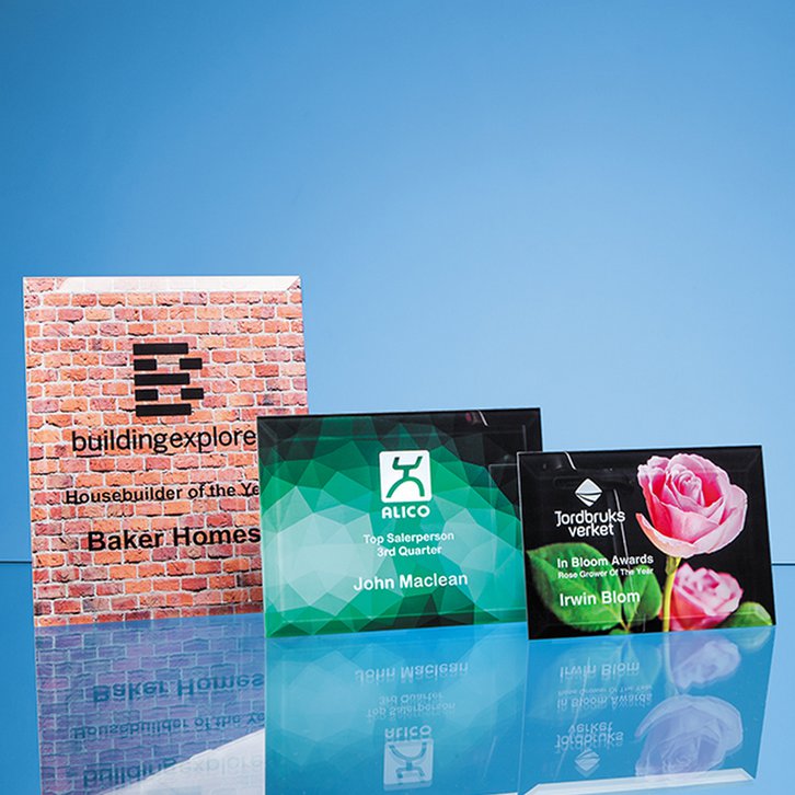 20.5cm x 15cm x 5mm Clear Glass Bevelled Rectangle with Easel Backing